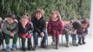 Plastichin_Visitacanina