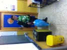 Reciclado 6ºB_15-16_1